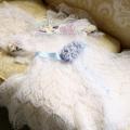 Christening dress - Baptism clothes - knitwork