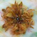 Sage- Saulute - Brooches - felting