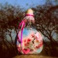 Blooming gardens - Decorated bottles - making