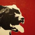 Amstaff pop-art - Oil painting - drawing