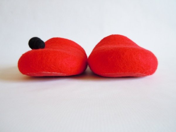 Įspiriamos slippers 1