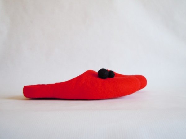 Įspiriamos slippers 2