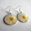 Earrings " white daisy " - Earrings - beadwork