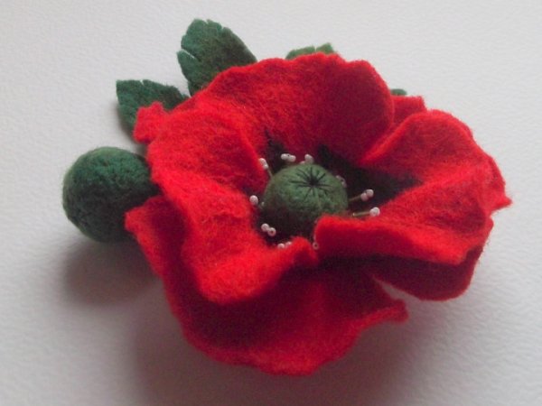 poppy - Flowers