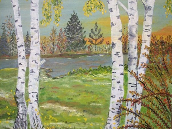Birches - Oil painting