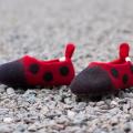 Ladybugs - Shoes & slippers - felting