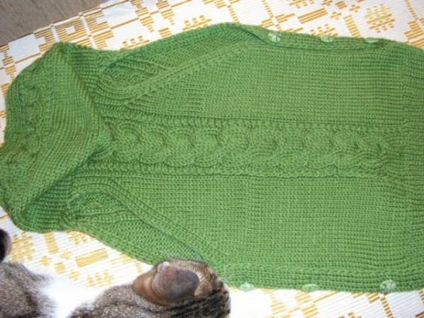 jacket with hood 2