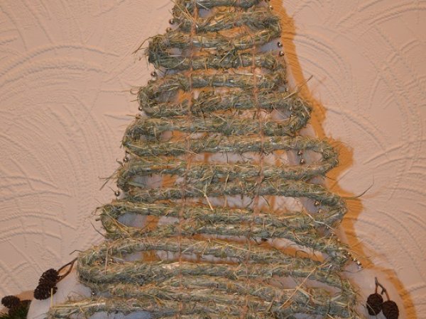 Christmas Tree 2013 - Floristics