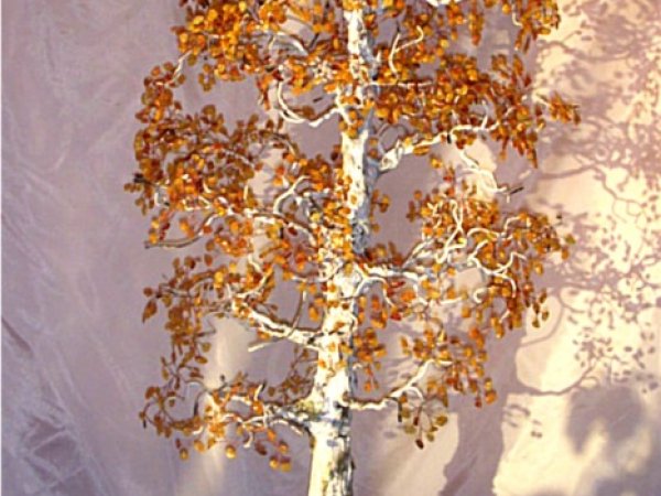 Amber birch - Biser