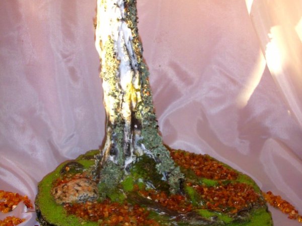 Amber birch 2