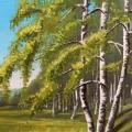 Birch grove - Oil painting - drawing