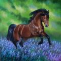 Horse, acrylic on canvas 30/30 - Acrylic painting - drawing