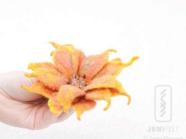 Yellow orange - Flowers