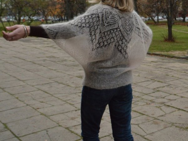 Mohair blouse 2
