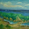 Lagoon - Oil painting - drawing
