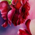 " Rose Kiss " 70x100 - Oil painting - drawing