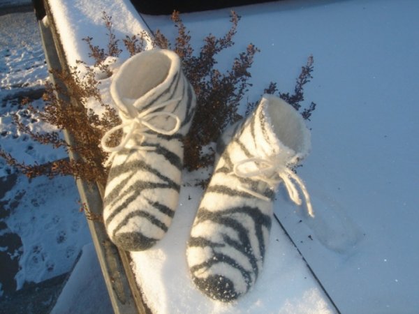 Dryžuotos 2