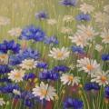 daisies and cornflower 50x30 - Oil painting - drawing