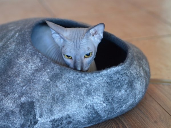 Cat maisonnette - For pets