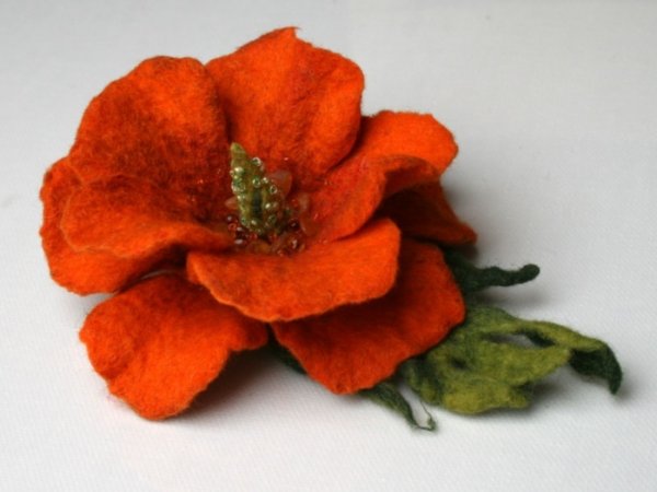 Sagė "Oranžinė " 1