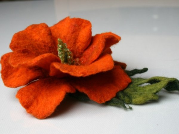 Sagė "Oranžinė " 2