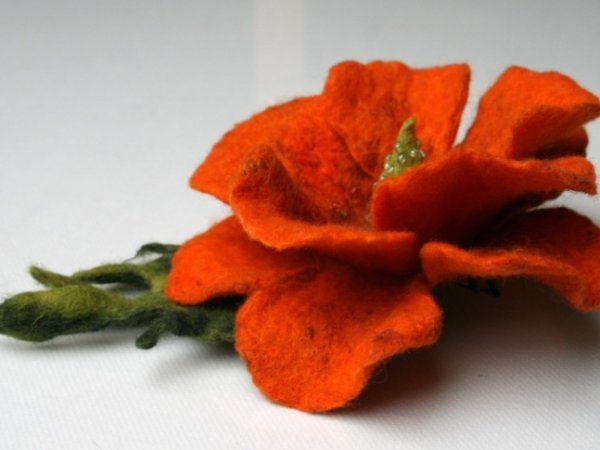 Sagė "Oranžinė " 3