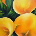 Yellow calla 40x40 - Oil painting - drawing