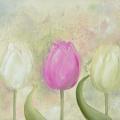 Tulips 70x20 - Oil painting - drawing