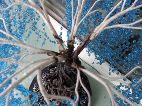 eiva 3