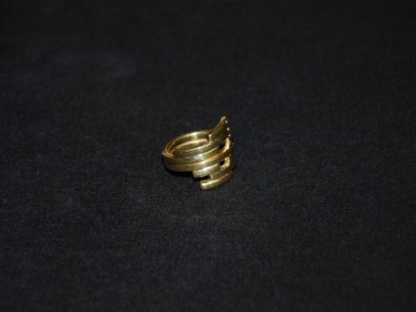 Brassy ringlet 2