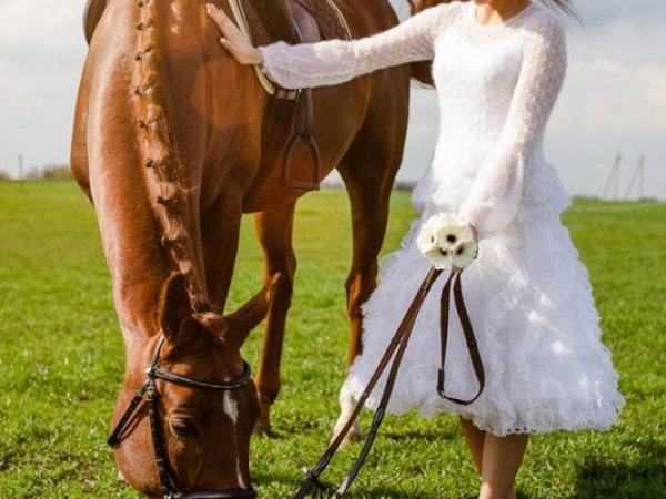 Bridal dresses - Wedding clothes