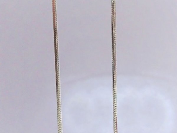 Silver (ilgi auskarai) 2