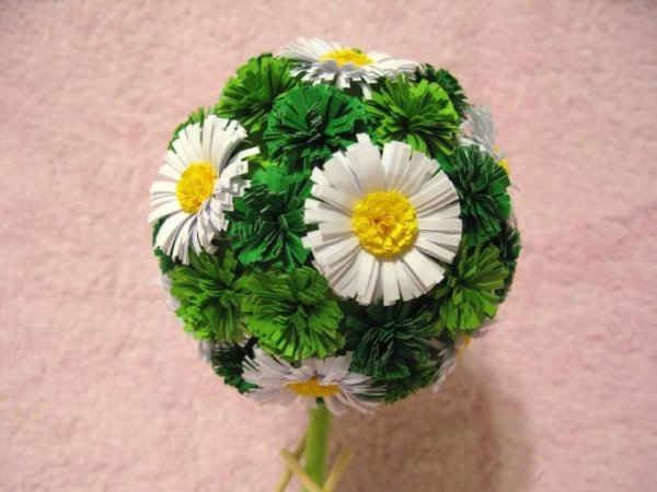 Camomile topiary /Laimes medis "Ramune " 2