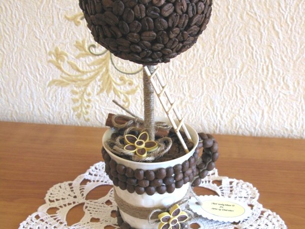 Coffee beans topiary / coffee tree - Floristics