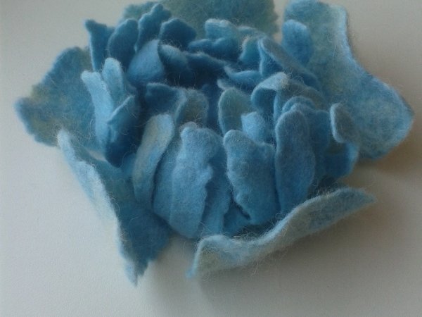 Veltas peony - Flowers