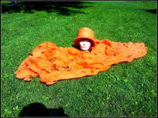 Gentle orange 3