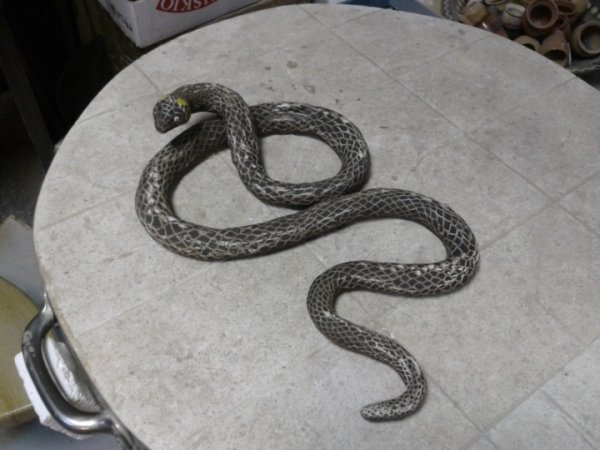 The Serpent - Ceramics