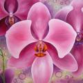 Orchid Dream 100x70 - Oil painting - drawing