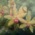 ORCHID - Oil painting - drawing