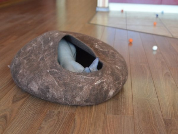 Cat maisonnette 2