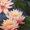 Water lilies 40x60 - Oil painting - drawing