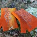 orange felted Kits " the Faith, " - Wristlets - felting