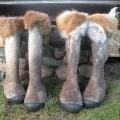 Felt Boots " Rusty " - Shoes & slippers - felting