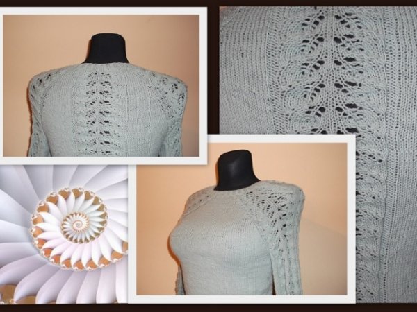Blouse extended back 2