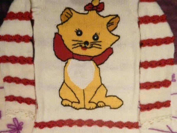 Sweater with a cat - Children clothes
