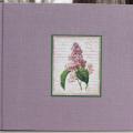 oil and sometimes bloom in January - Albums & notepads - making