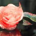 Silk Rose - Brooches - making