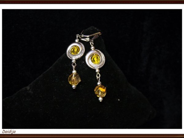 Earrings - Earrings