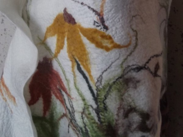 Cloak & # 039; Echinacea paths & # 039; 3