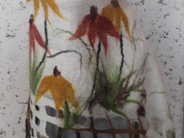 Cloak & # 039; Echinacea paths & # 039; 2